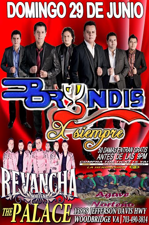 grupo bryndis concerts